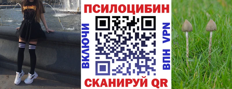 блэк спрут вход  Зубцов  Псилоцибиновые грибы мухоморы 